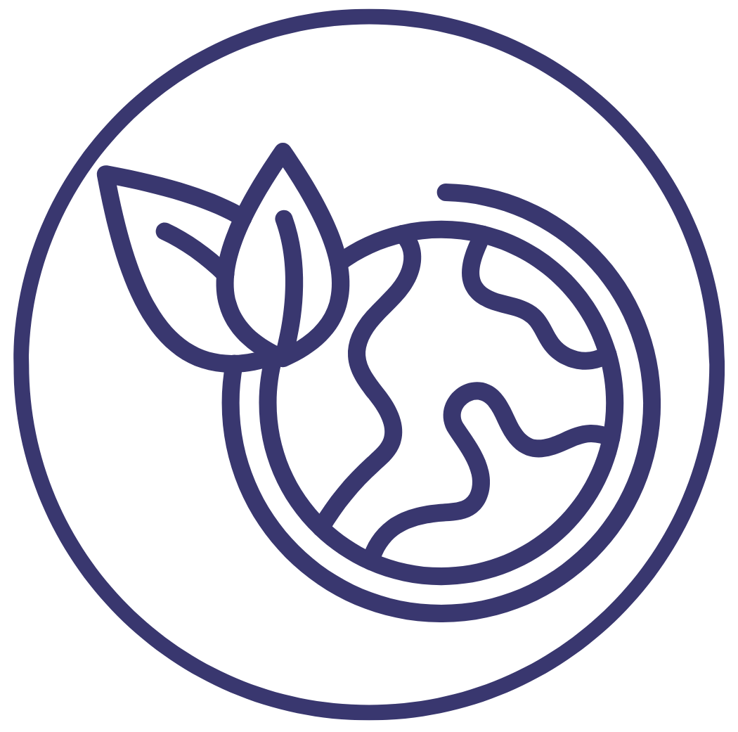 Icon 6